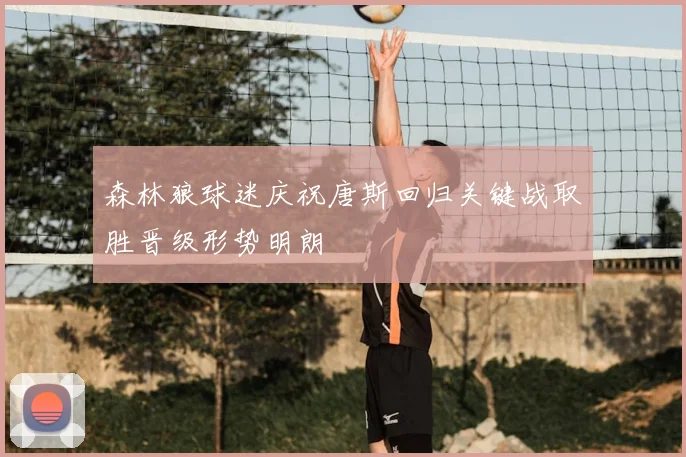 森林狼球迷庆祝唐斯回归关键战取胜晋级形势明朗